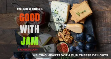 Sweet & Savory Pairings: Best Cheeses to Enjoy with Jam