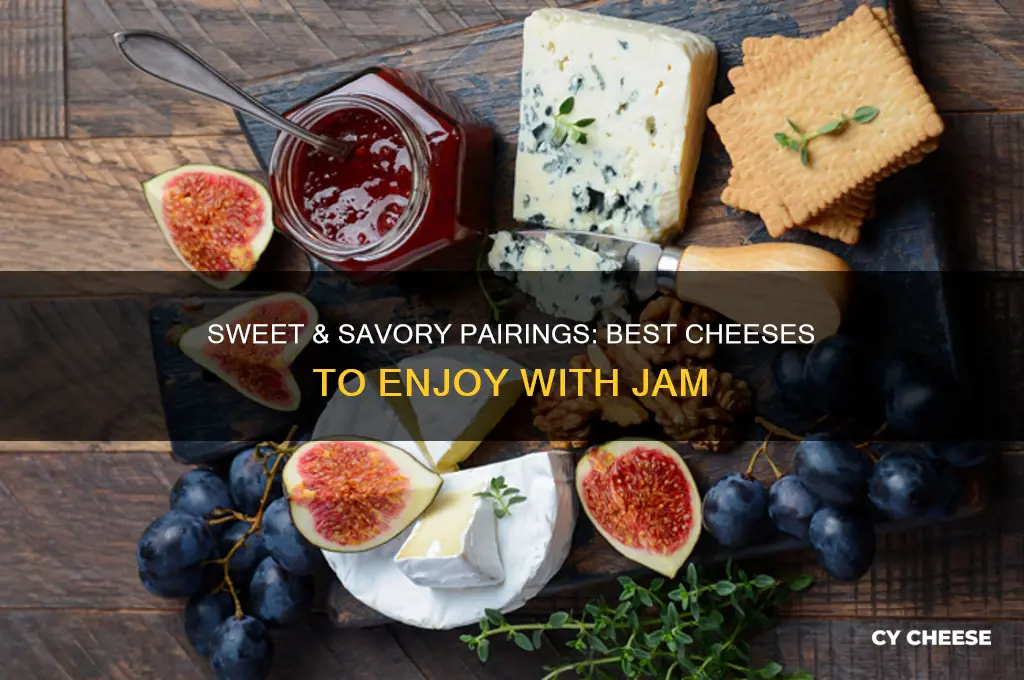 what kins of cheese is good with jam