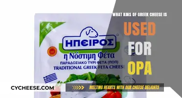 Greek Cheeses Used for Opa: A Beginner's Guide