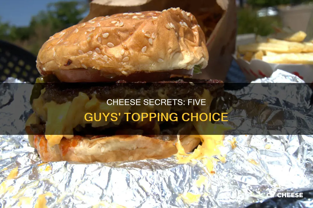 what knd of cheese does five guys use