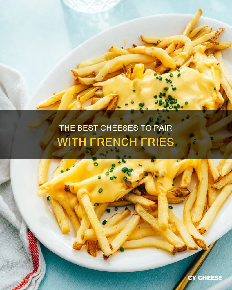 what kong of cheese goes well on french fries