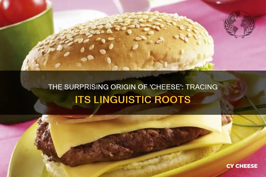 what language does the word cheese come from