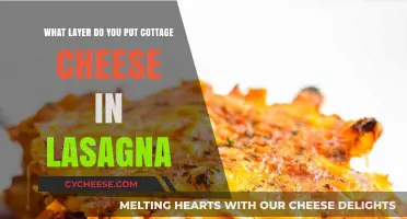 Perfect Lasagna Layers: Where to Add Cottage Cheese for Creamy Goodness