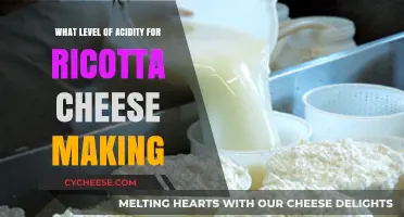 Mastering Ricotta Cheese: Optimal Acidity Levels for Perfect Homemade Results