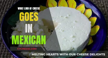 Mexican Cheese: Types and Their Unique Qualities