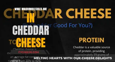 Unraveling Cheddar's Macromolecule Mystery: Proteins, Fats, and More