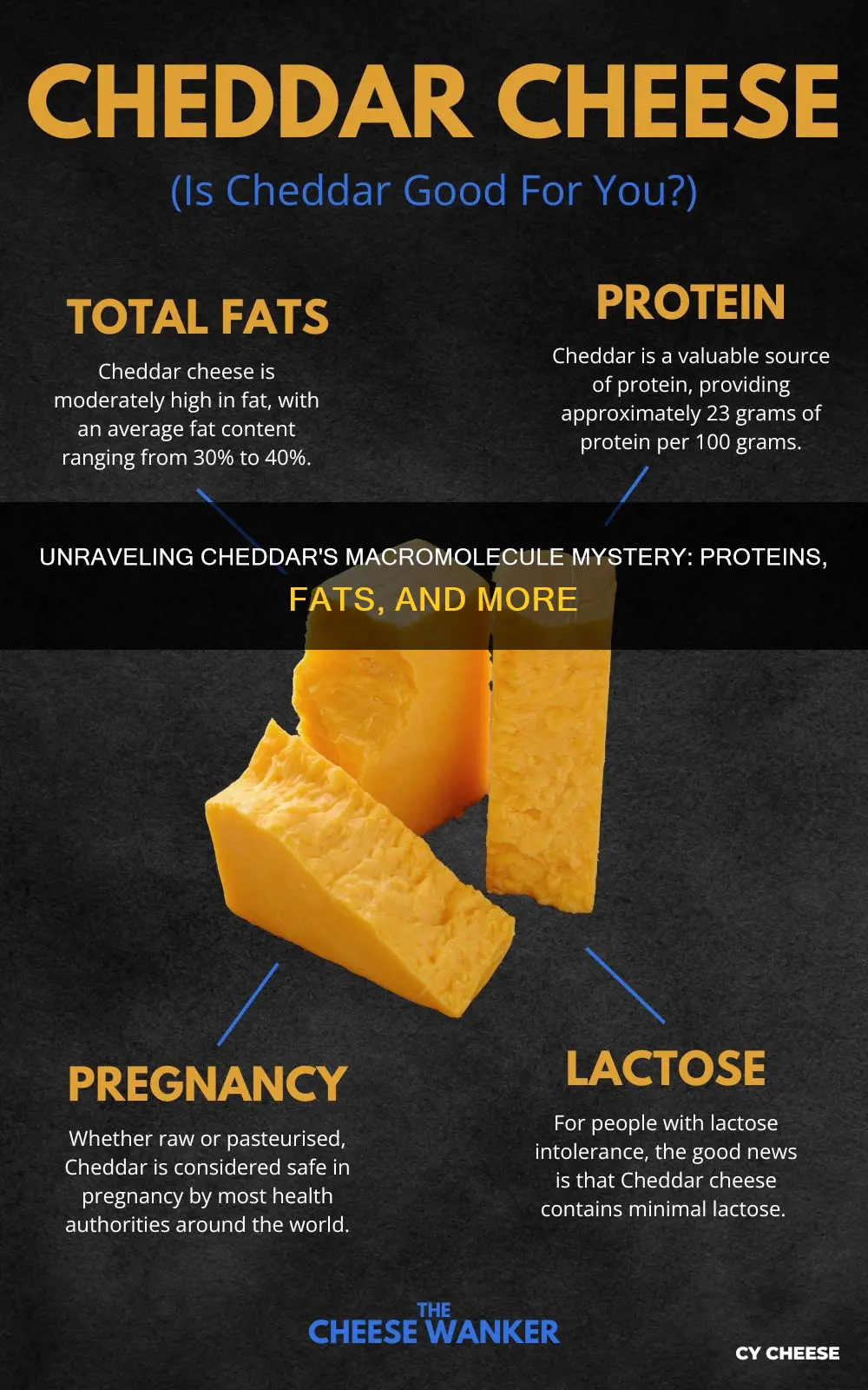 what macromolecules are in cheddar cheese