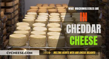Macromolecules in Cheddar Cheese: Unraveling the Complex Composition