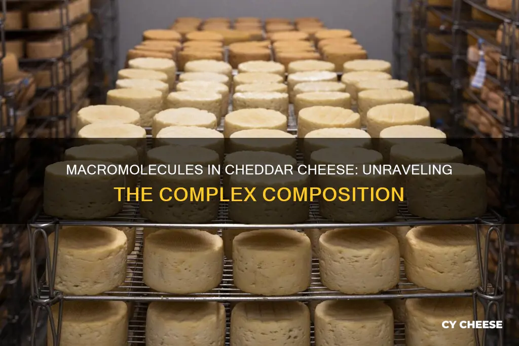 what macromolecules are in cheddar cheese