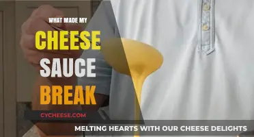 Cheese Sauce Disaster: Unraveling the Mystery of My Culinary Breakdown