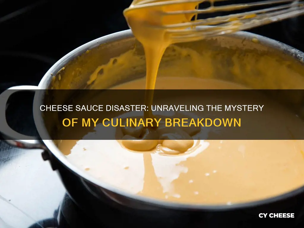 what made my cheese sauce break