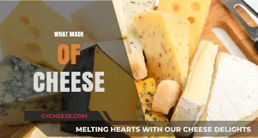 The Surprising Ingredients in Your Favorite Cheesy Treats