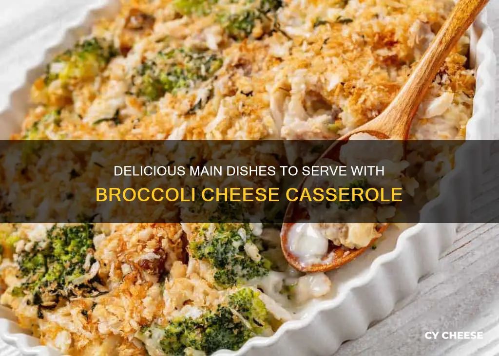 what main dish goes with broccoli and cheese casserole