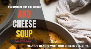 Cheesy Broccoli Soup: Best Main Course Pairings