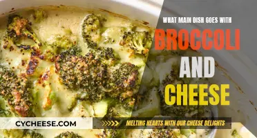 Cheese and Broccoli: Perfect Partners for Pasta Dishes