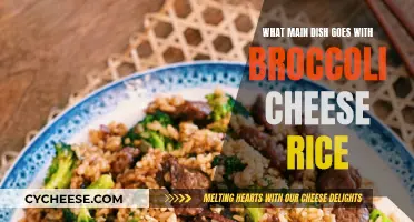 Broccoli, Cheese, and Rice: Perfect Pairings for a Main Dish