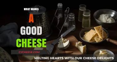 Crafting Perfect Cheese: Key Ingredients, Techniques, and Flavor Secrets
