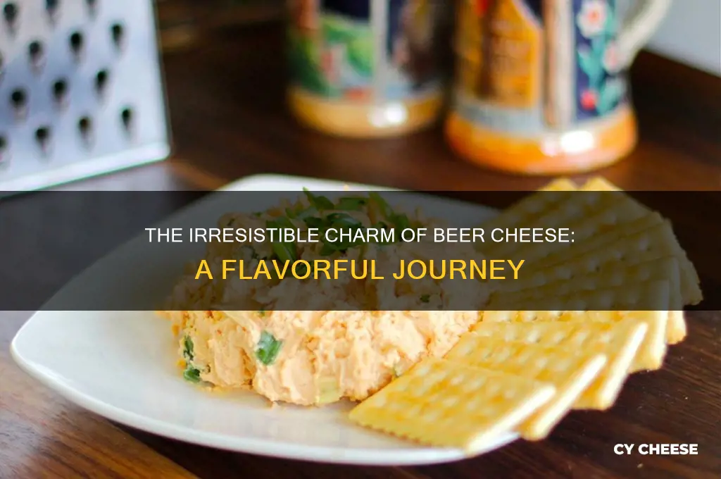 what makes beer cheese so good