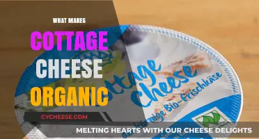 Understanding Organic Cottage Cheese: Ingredients, Production, and Certification