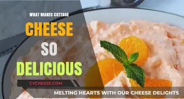 Creamy, Tangy, and Versatile: The Irresistible Charm of Cottage Cheese