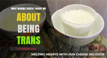 Curds, Whey, and Identity: Lessons from Cheese-Making as a Trans Person