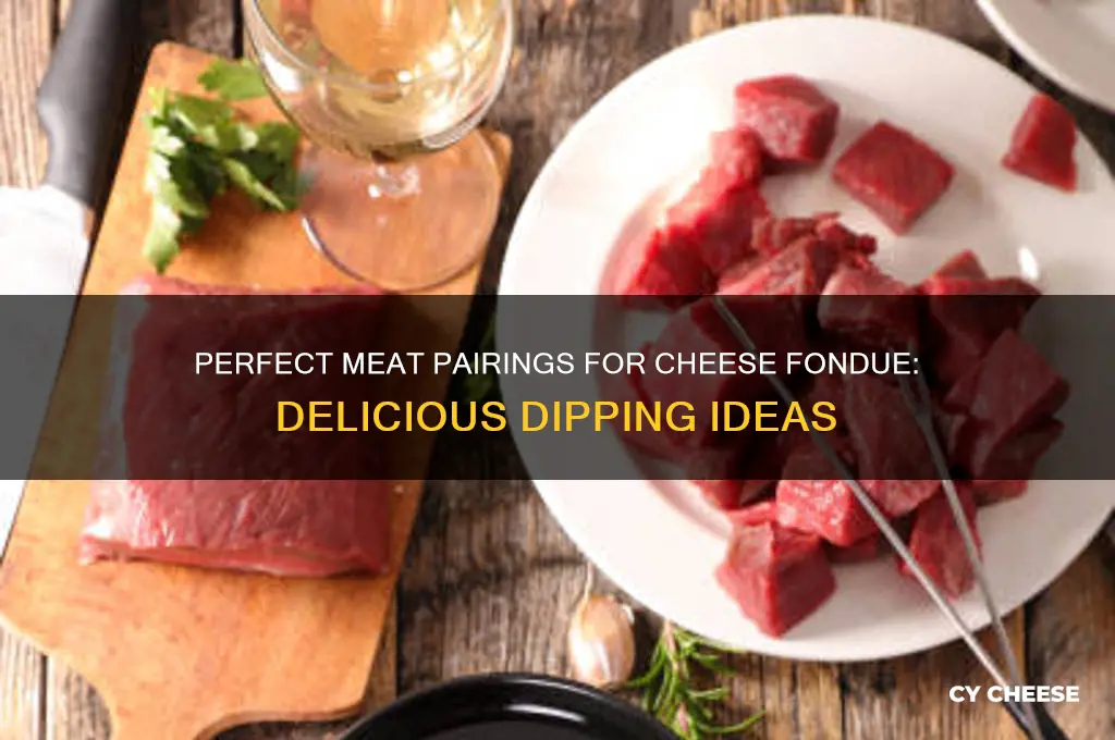 what meat do you dip in cheese fondue