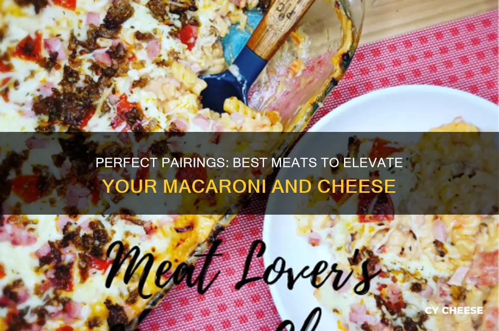 what meat goes good with macaroni and cheese