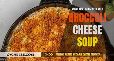 Meat and Broccoli Cheese Soup: Perfect Pairings