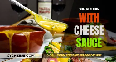 Cheese Sauce: Best Meat Pairings You Need to Try