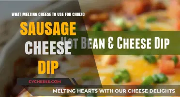 Cheese Dip Perfection: Choosing the Right Melting Cheese