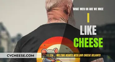 Cheese Conundrum: Are Men Mice?