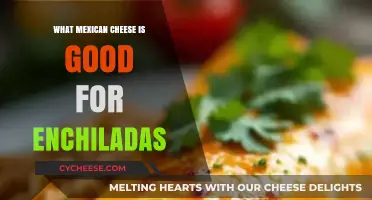 Best Mexican Cheeses for Perfectly Melty, Flavorful Enchiladas
