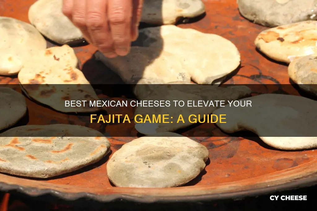 what mexican cheese is good for fajitas