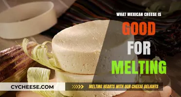 Best Mexican Cheeses for Melting: Top Picks for Perfectly Gooey Dishes