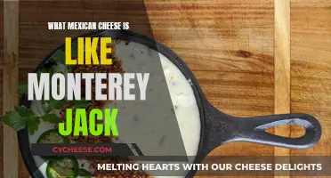 Exploring the Creamy, Melty Mexican Cheese: A Monterey Jack Adventure