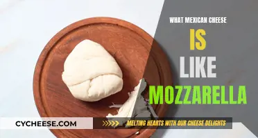 Mexican Mozzarella: A Cheesy Comparison