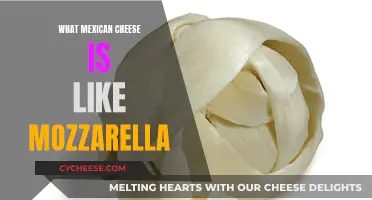 Mexican Mozzarella: Exploring Similar Cheeses