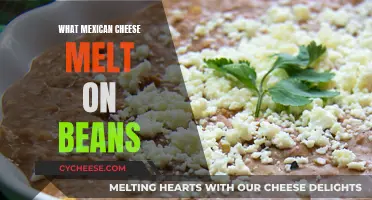 Cheese and Beans: Melting Mexican Style