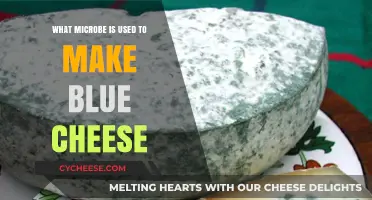 Blue Cheese Microbes: Unveiling the Mystery