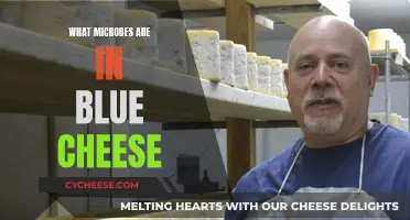 Microbial Delights: Blue Cheese's Hidden World