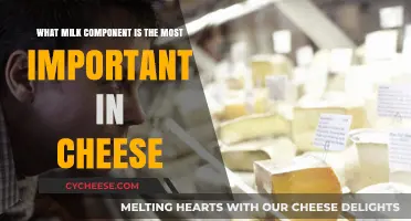Unveiling the Key Milk Component That Defines Cheese Perfection
