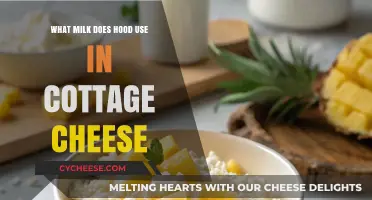 Hood's Cottage Cheese: Uncovering the Milk Behind the Creamy Delight