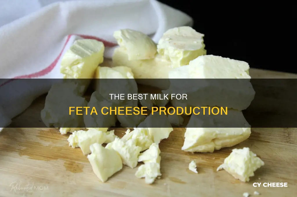 what milk for feta cheese