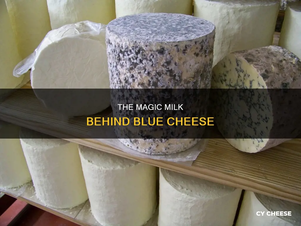 what milk is bleu cheese made from