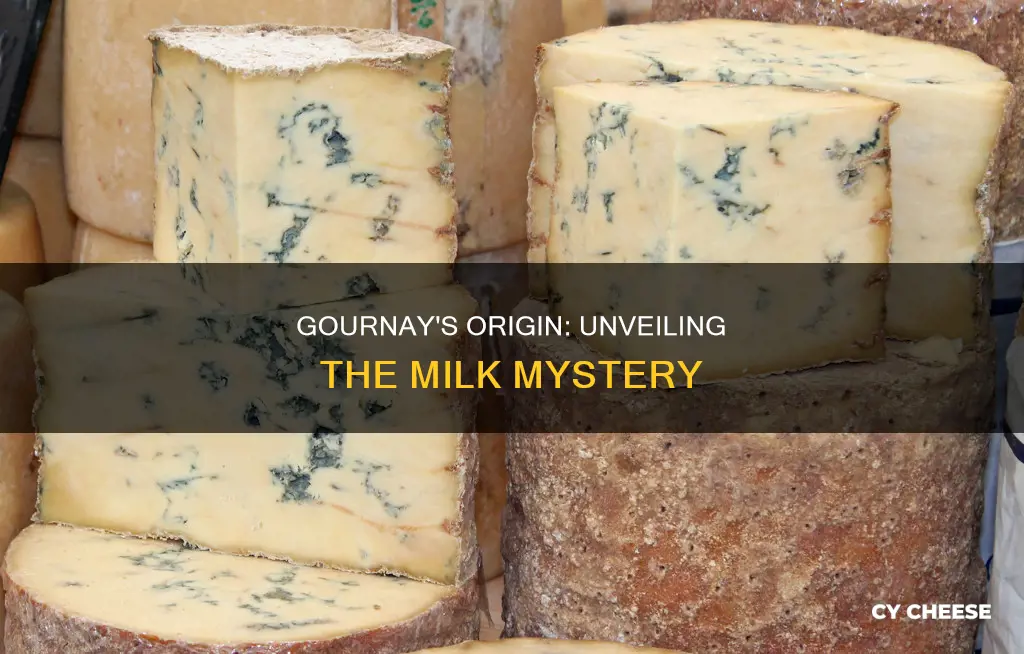 what milk is gournay cheese made from