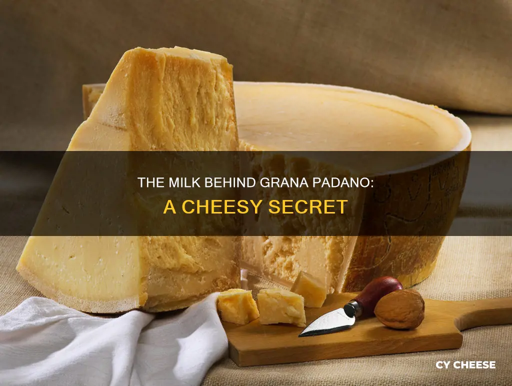 what milk is grana padano cheese made from
