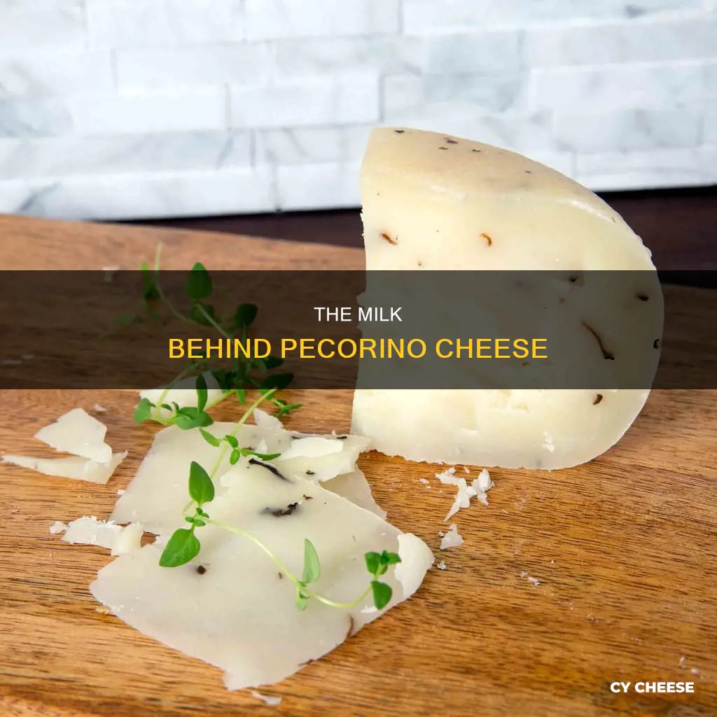 what milk is pecorino cheese made from