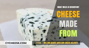 The Surprising Milk Source Behind Roquefort's Rich Flavor