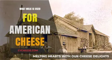 American Cheese: What Milk is Best?
