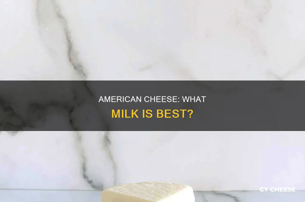what milk is used for american cheese